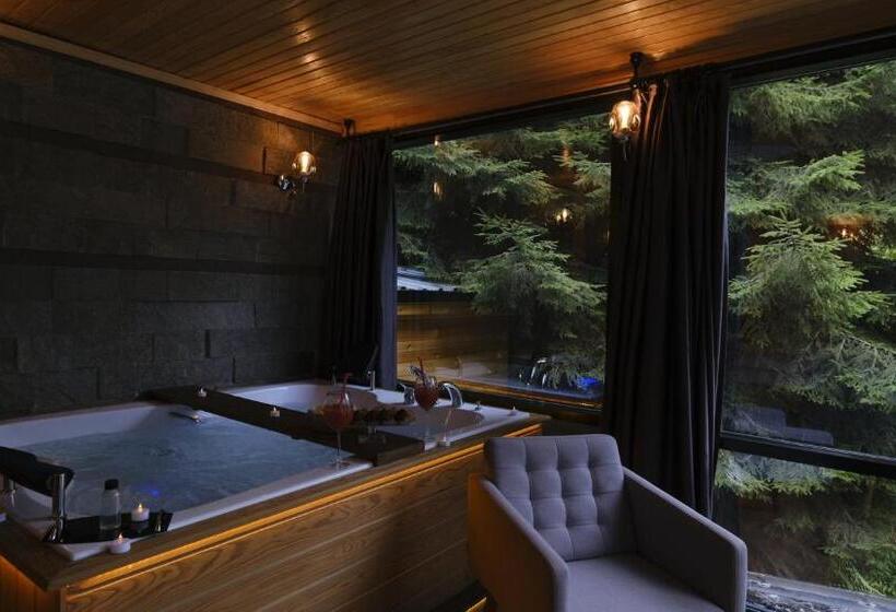 اتاق استاندارد با وان آب گرم, Ayder Villa De Pelit