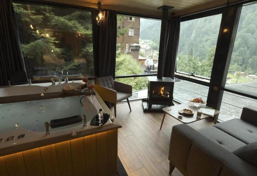 اتاق استاندارد با وان آب گرم, Ayder Villa De Pelit