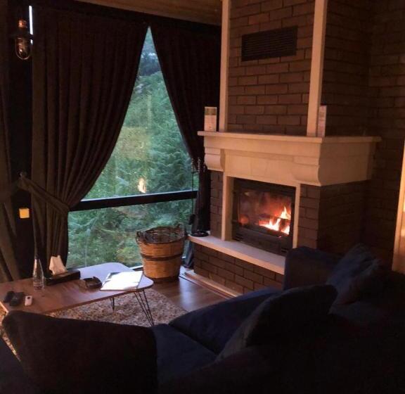 سوئیت رویال, Ayder Villa De Pelit