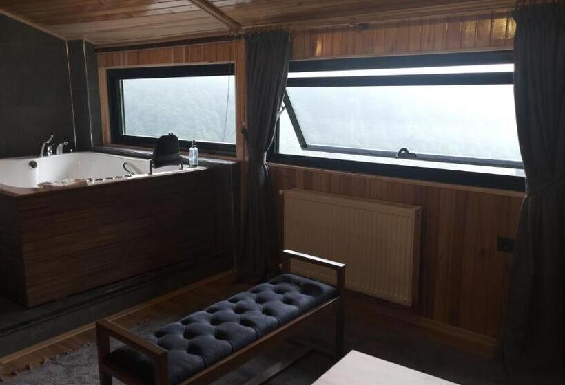 اتاق لوکس با چشمانداز, Ayder Villa De Pelit