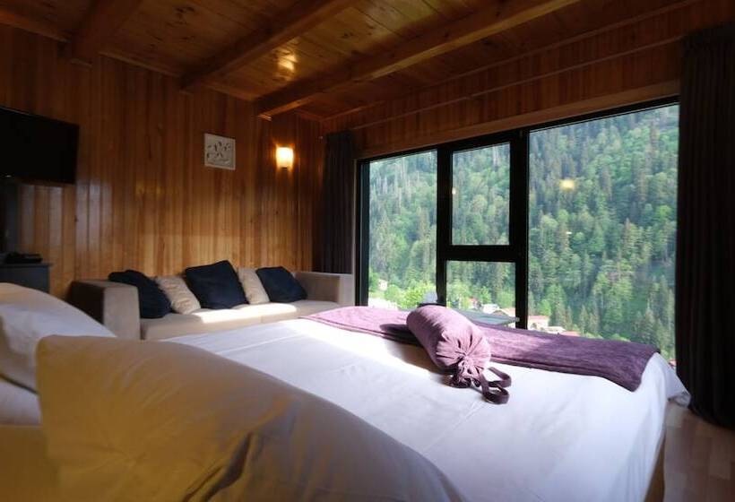 اتاق استاندارد با چشمانداز, Ayder Villa De Pelit