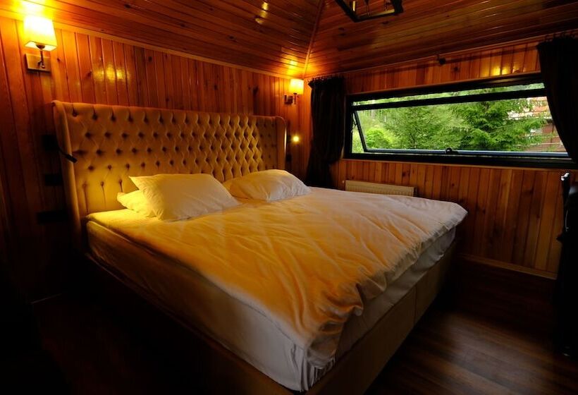 اتاق لوکس, Ayder Villa De Pelit