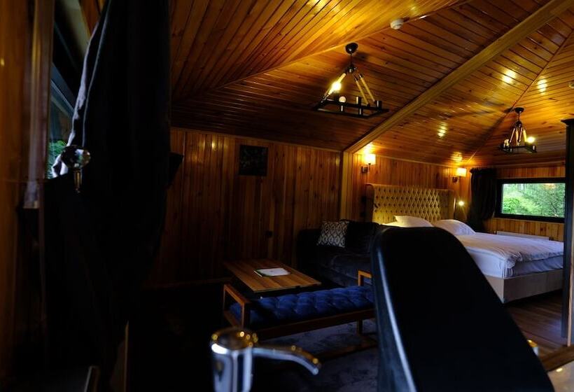 اتاق لوکس, Ayder Villa De Pelit