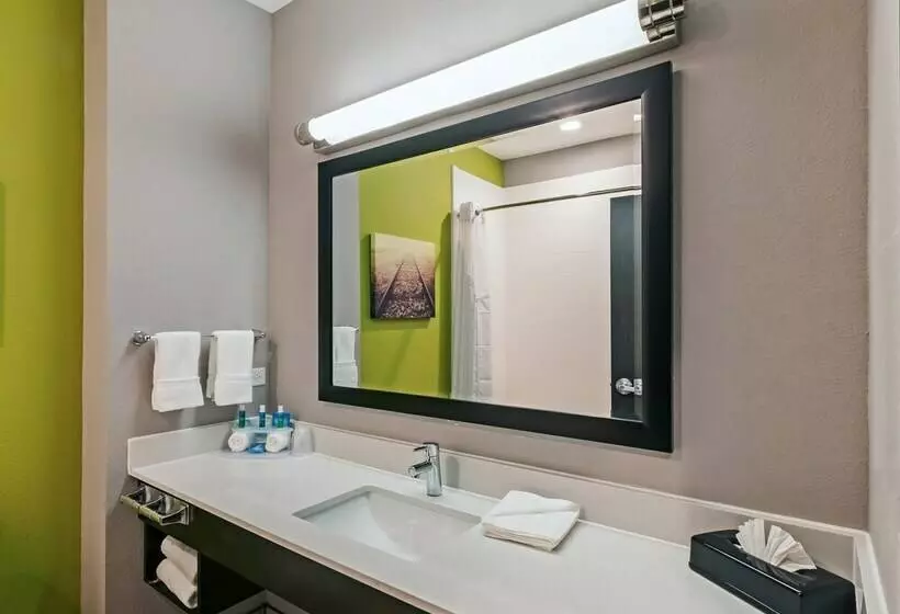 スタンダードルーム, Holiday Inn Express & Suites Perryton By Ihg