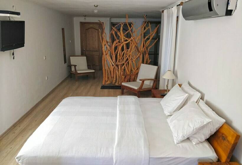 Quarto Estandar, Zephyros