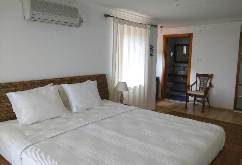 Quarto Estandar, Zephyros