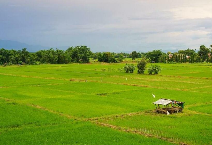 スーペリアールーム, Kyp Khunyuw Place Hotel โรงแรมเควายพี ขุนยูวเพลส ฝาง