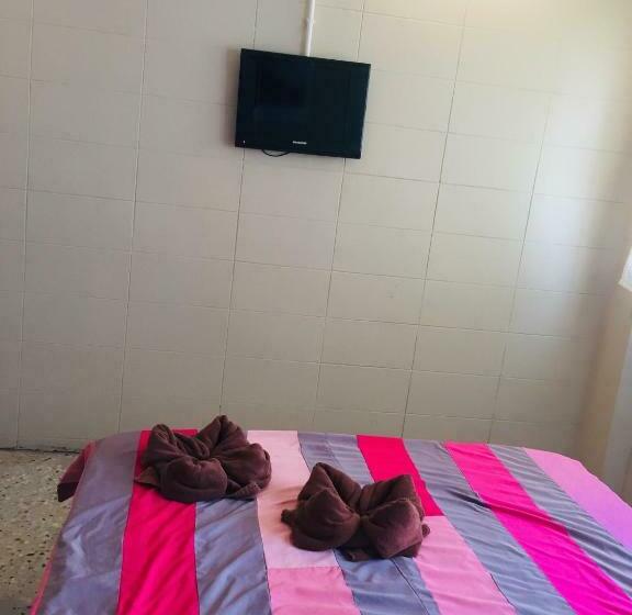 Номер Стандарт, Nett