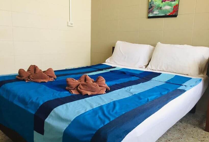 Номер Стандарт, Nett