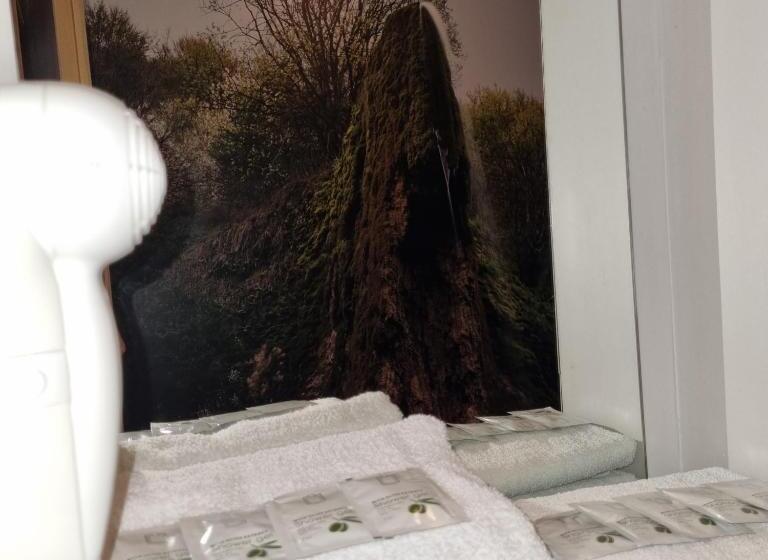 اتاق استاندارد سه نفره, B&b Botel Charlie