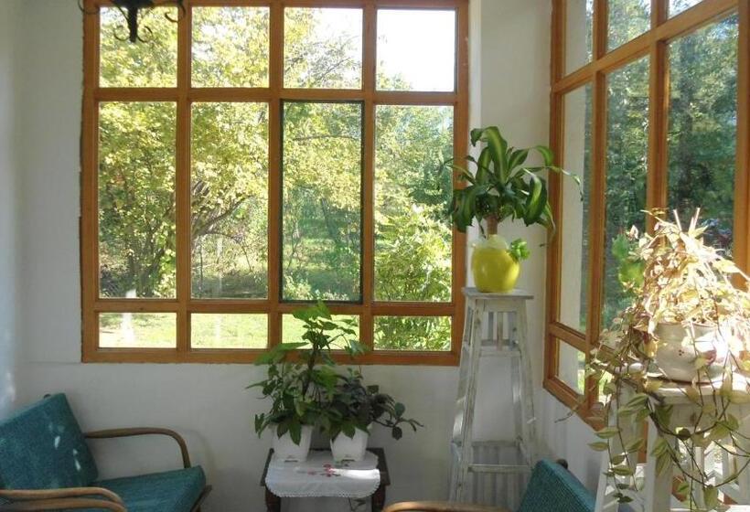 اتاق استاندارد سه نفره, Sobe Zeravica Sremski Karlovci