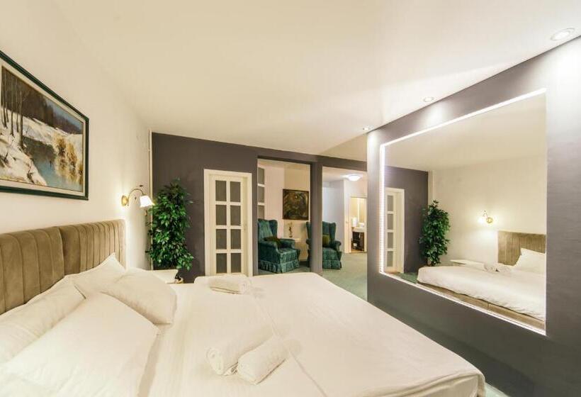 آپارتمان سوپریور 1 خوابه, Garni Hotel President De Luxe