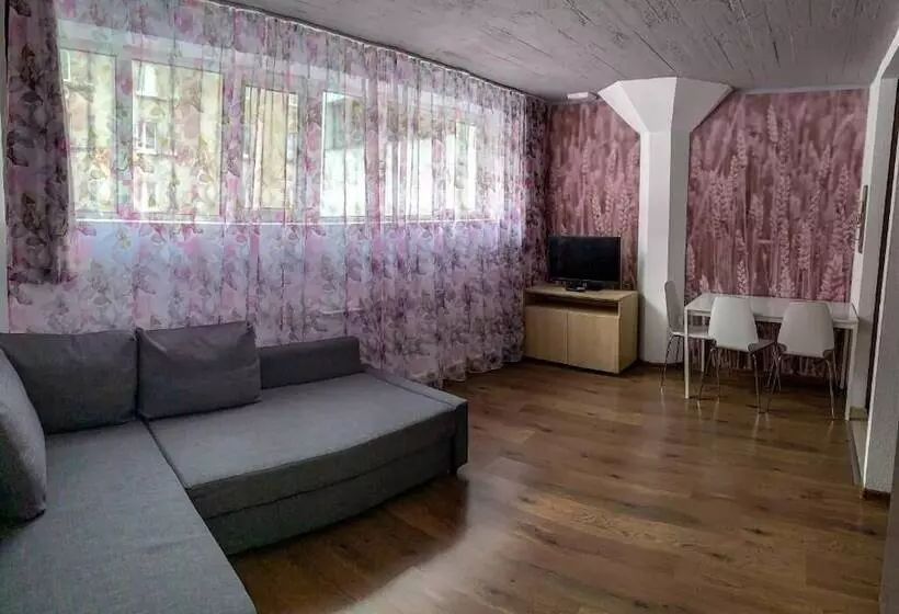 スタンダードスタジオ, Apartment Vyborg