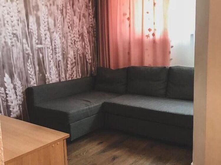 １ベッドルームアパートメント, Apartment Vyborg
