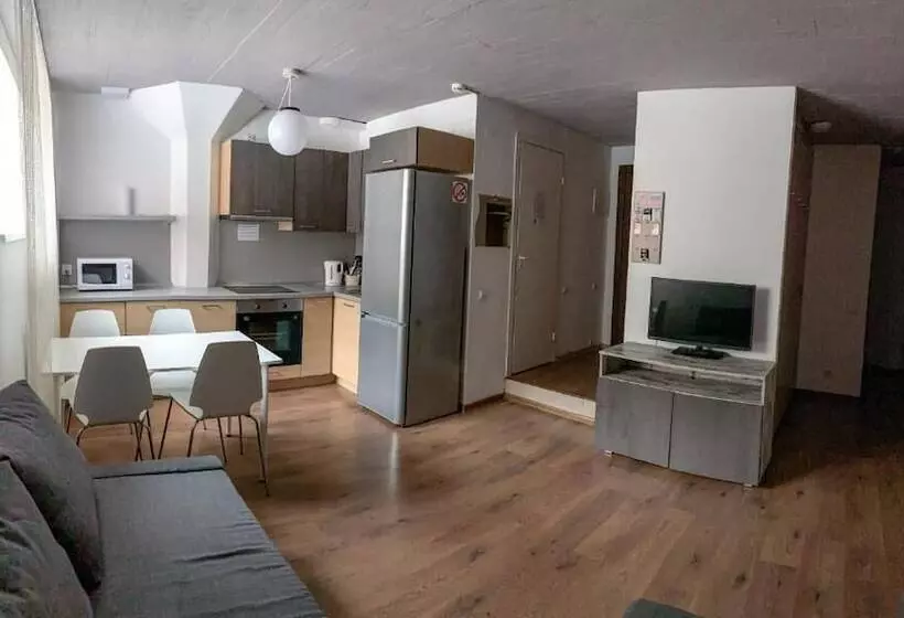 家族用アパートメント, Apartment Vyborg