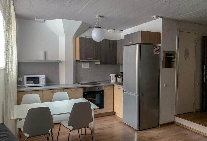 آپارتمان خانوادگی, Apartment Vyborg