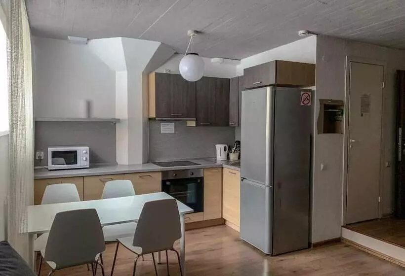 家族用アパートメント, Apartment Vyborg