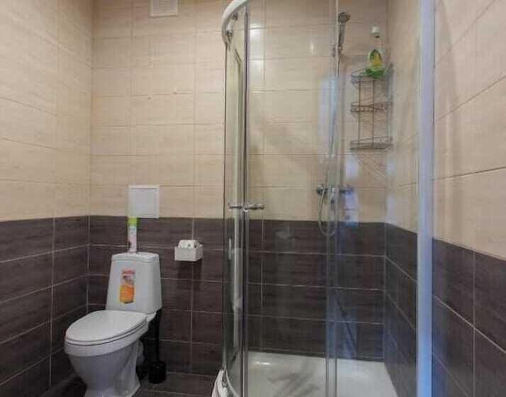 آپارتمان خانوادگی, Apartment Vyborg