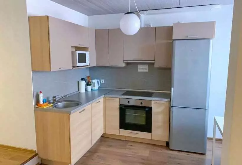 １ベッドルームアパートメント, Apartment Vyborg