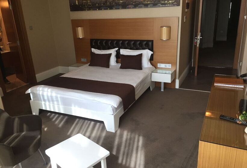 디럭스 룸, City Hotel Plovdiv