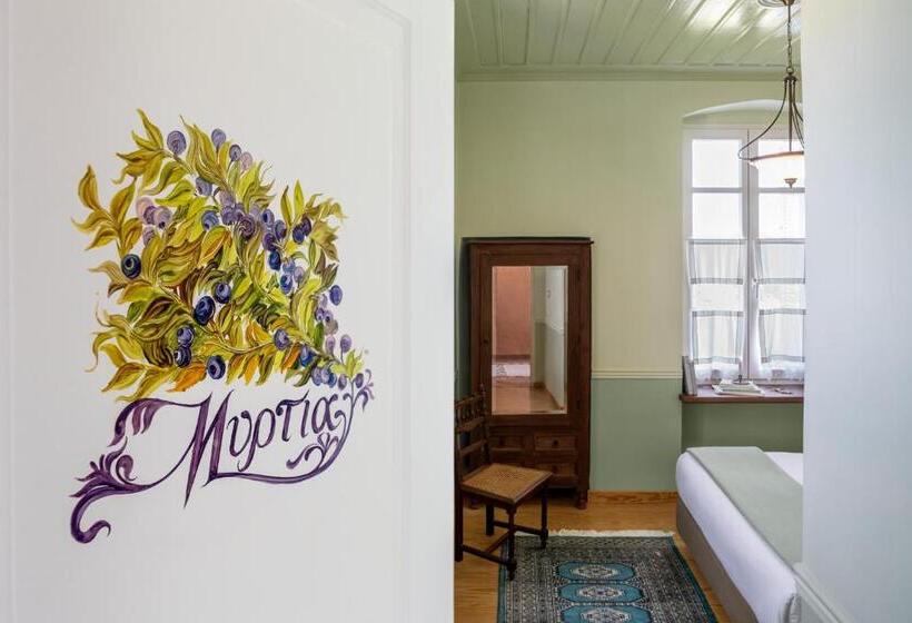 חדר בסיסי, Archontiko Parnassus Dadi