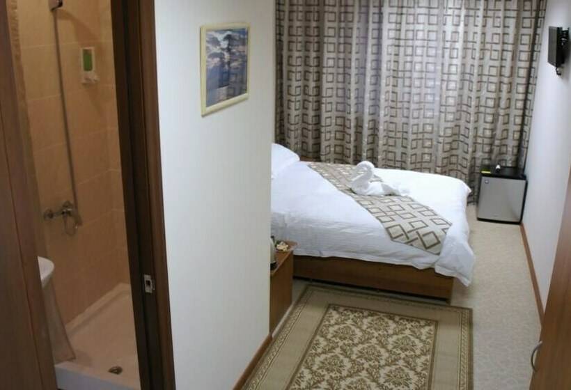 スタンダードルーム, Irkut