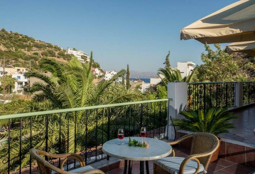 غرفة قياسية, Neos Ikaros