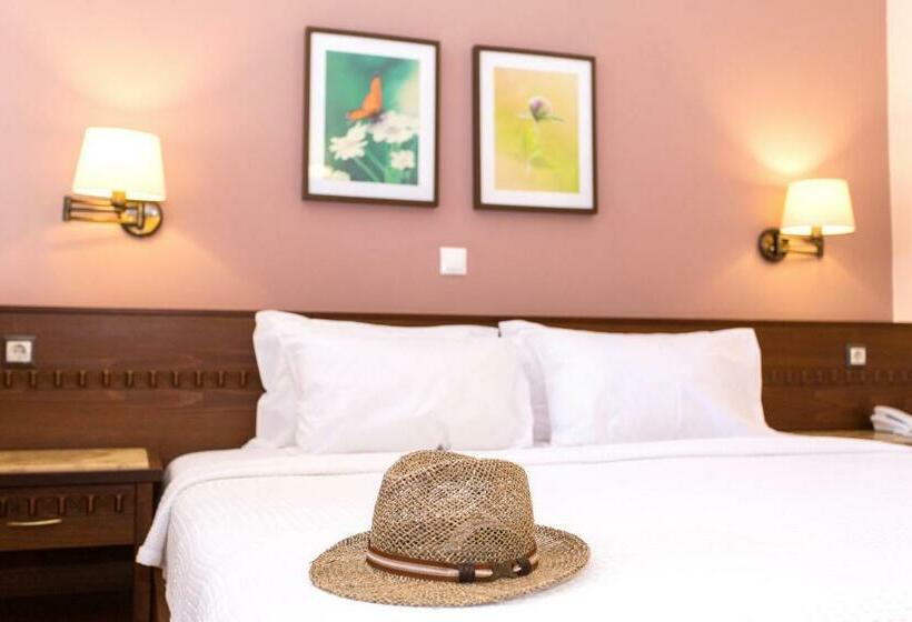 Четырехместный Номер Стандарт, Dracos