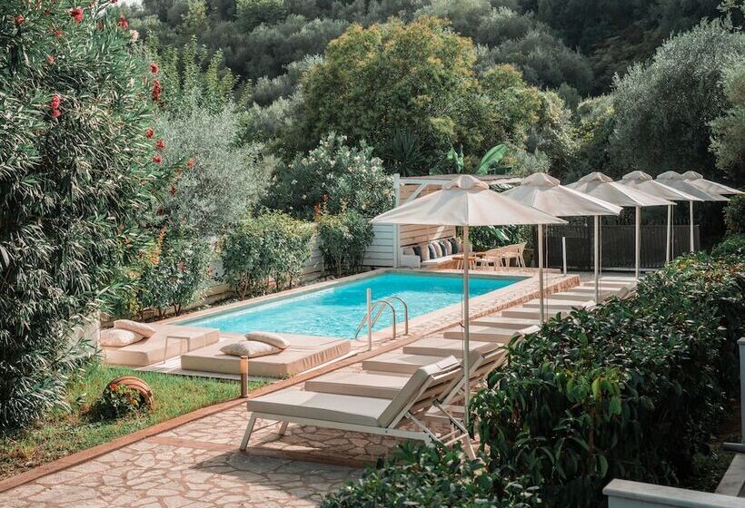 Номер Стандарт, Dracos