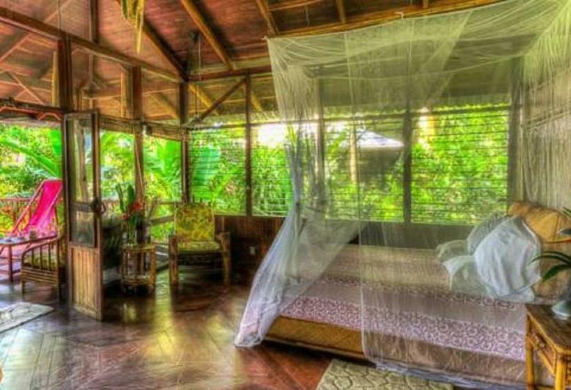 سوییت جونیور لوکس, Iguana Lodge Beach Resort