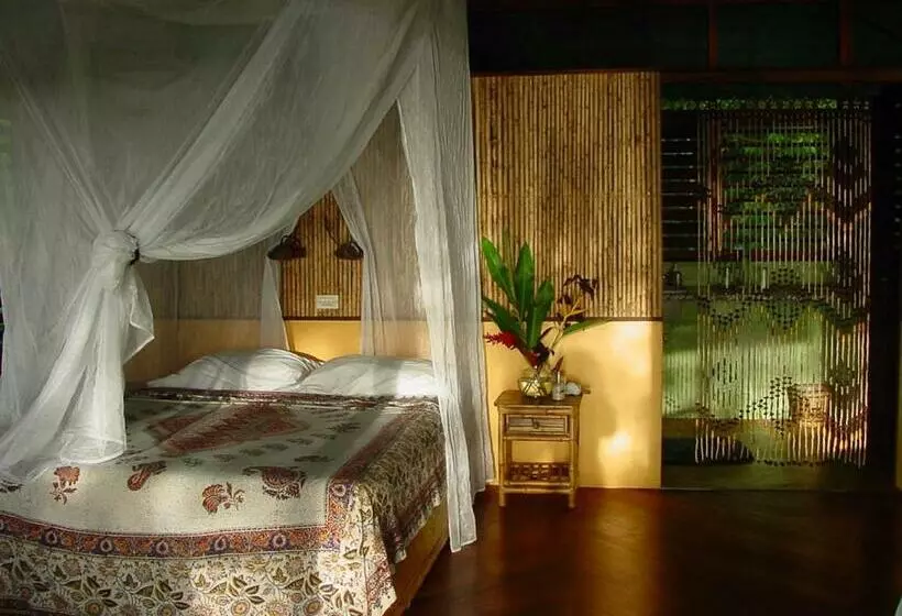 ビラホテル１ベッドルーム, Iguana Lodge Beach Resort