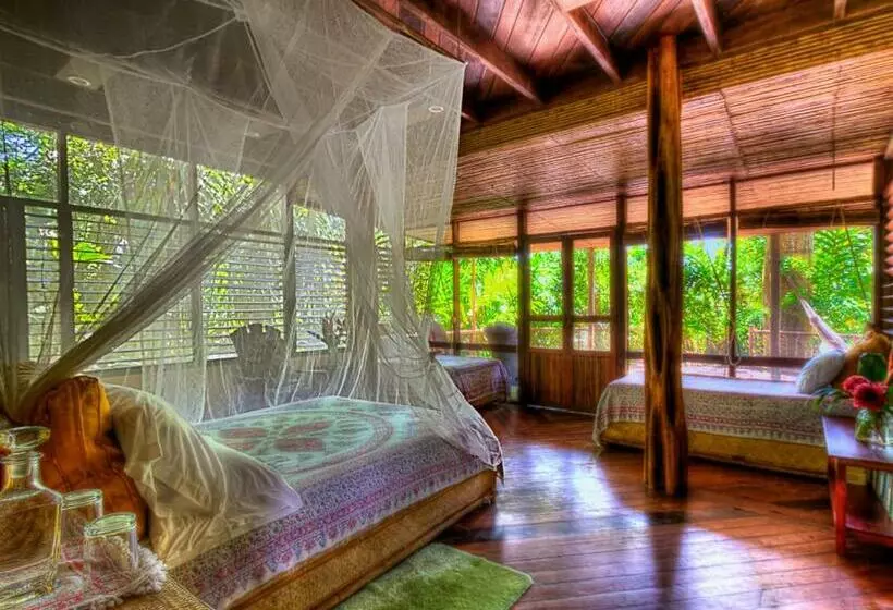 デラックスジュニアスイート, Iguana Lodge Beach Resort