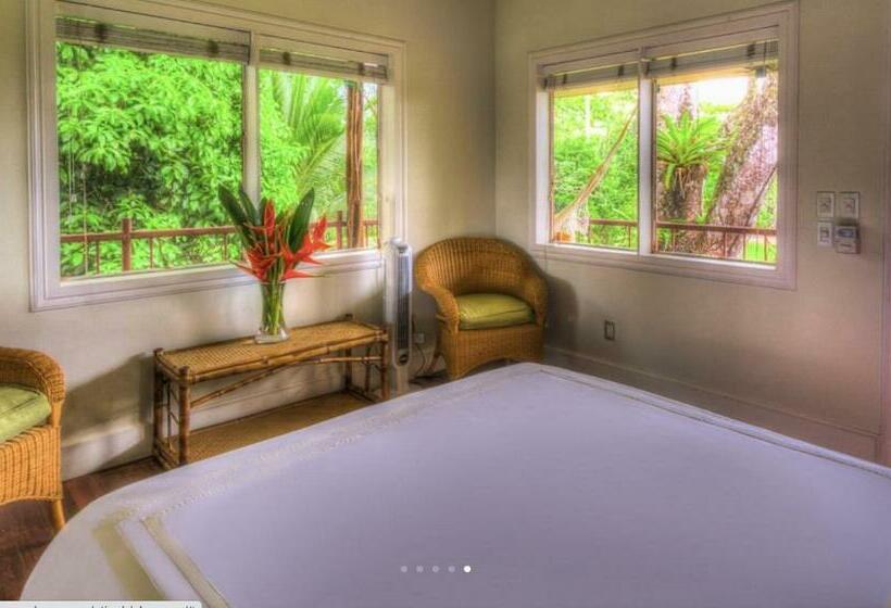 اتاق کلاب, Iguana Lodge Beach Resort