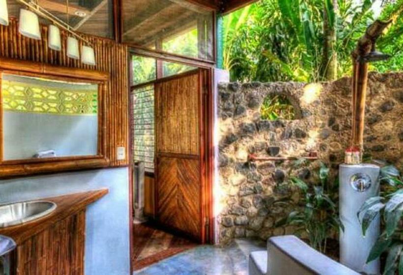 سوییت جونیور لوکس, Iguana Lodge Beach Resort