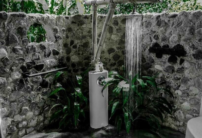 سوییت جونیور لوکس, Iguana Lodge Beach Resort