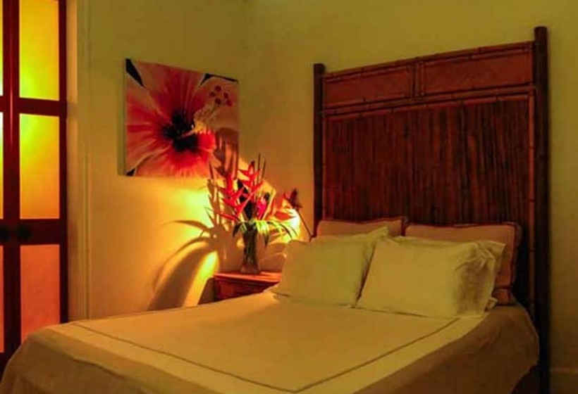 اتاق کلاب, Iguana Lodge Beach Resort