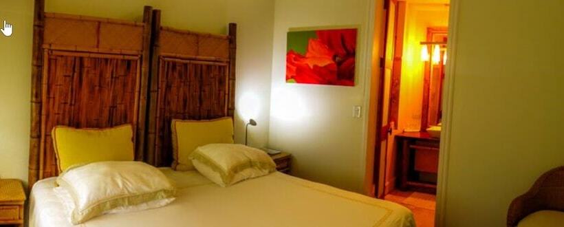 اتاق کلاب, Iguana Lodge Beach Resort