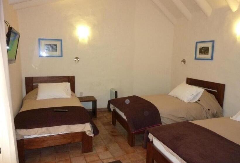 شقة غرفتين, Kutty Wasi