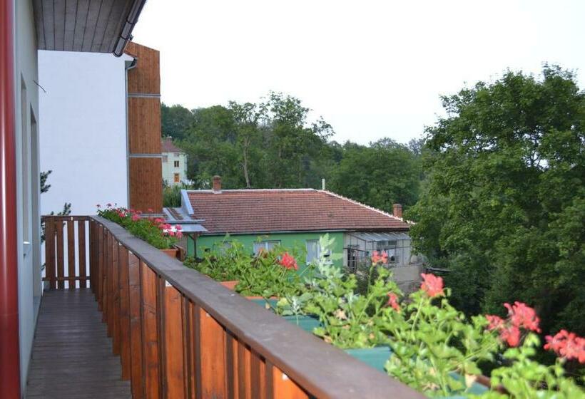 חדר סטנדרט עם מרפסת, Penzion Levandule