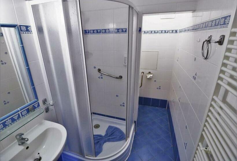 חדר סטנדרט יחיד, Ld Palace Spa & Kur