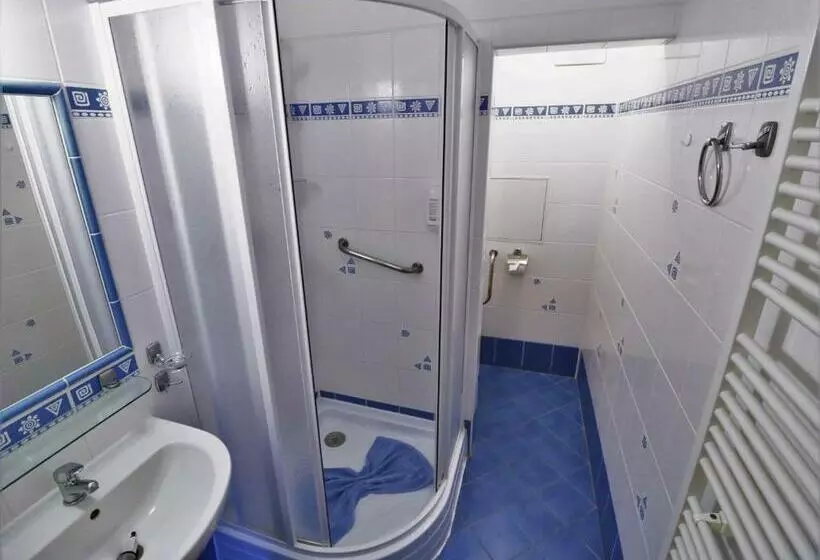 اتاق استاندارد یک نفره, Ld Palace Spa & Kur