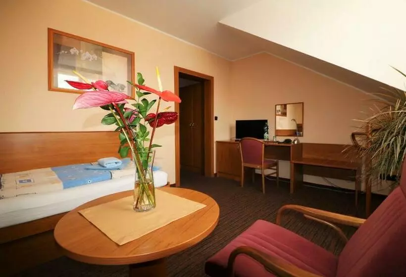 اتاق استاندارد یک نفره, Ld Palace Spa & Kur