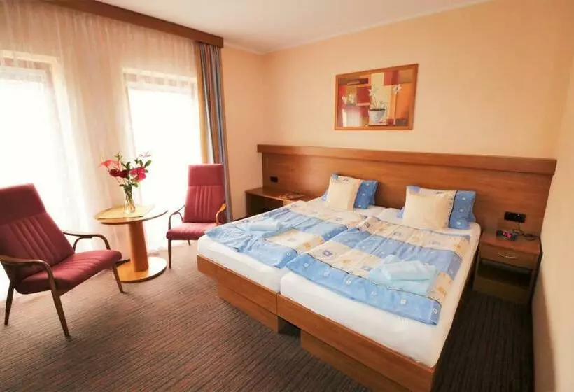 اتاق استاندارد, Ld Palace Spa & Kur