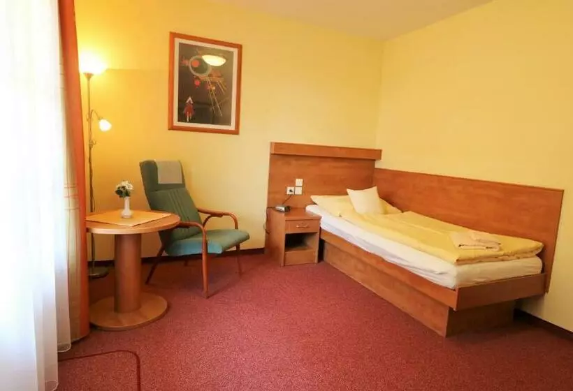 اتاق استاندارد یک نفره, Ld Palace Spa & Kur