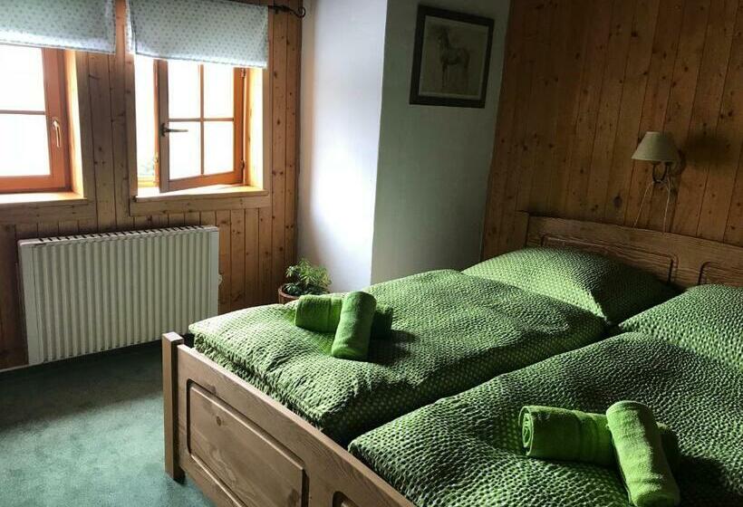 スタンダードルーム, Penzion Alenka