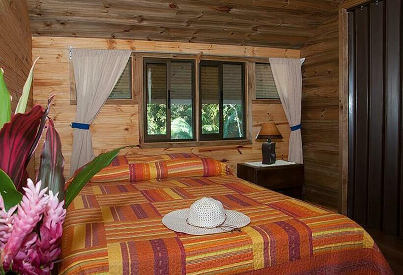 اتاق استاندارد سه نفره, Pirate Cove