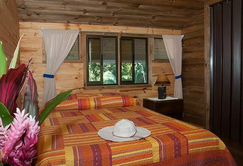 اتاق استاندارد سه نفره, Pirate Cove