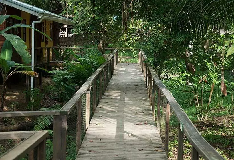 اتاق خانوادگی, Pirate Cove