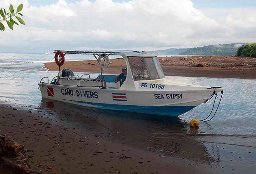 اتاق استاندارد سه نفره, Pirate Cove