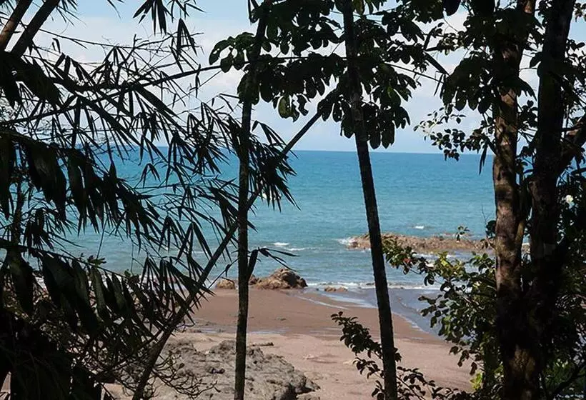 اتاق لوکس, Pirate Cove